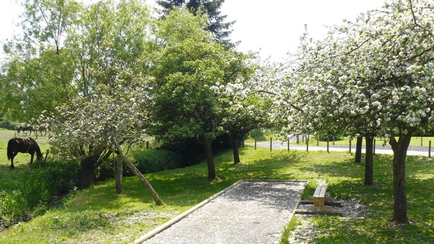 A grassy area with trees, a gravel path, and a horse grazing. - Comfortable cottage with spa in Mont St Michel Bay (Saint-Martin-Des-Champs)
