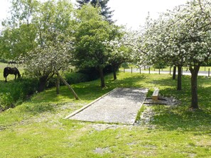 Un espacio cubierto de césped con árboles, un sendero de grava y un caballo pastando.