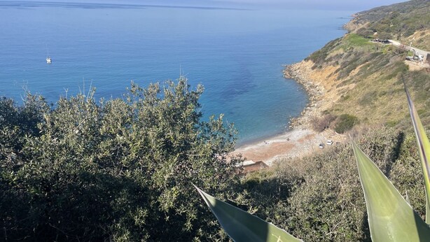 A coastal landscape with a beach, vegetation, and a clear view of the sea.