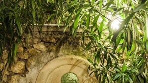 Una fuente de piedra con una ornamentada escultura de cabeza, rodeada de follaje.