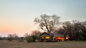 Een lodge met een terras en een grote boom op de achtergrond.