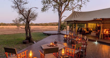 Rhino Walking Safaris