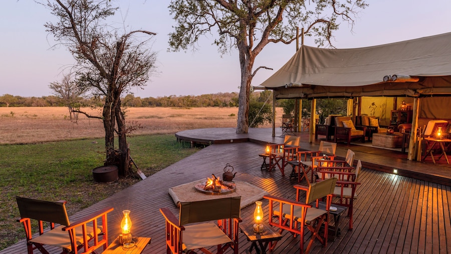 Rhino Walking Safaris