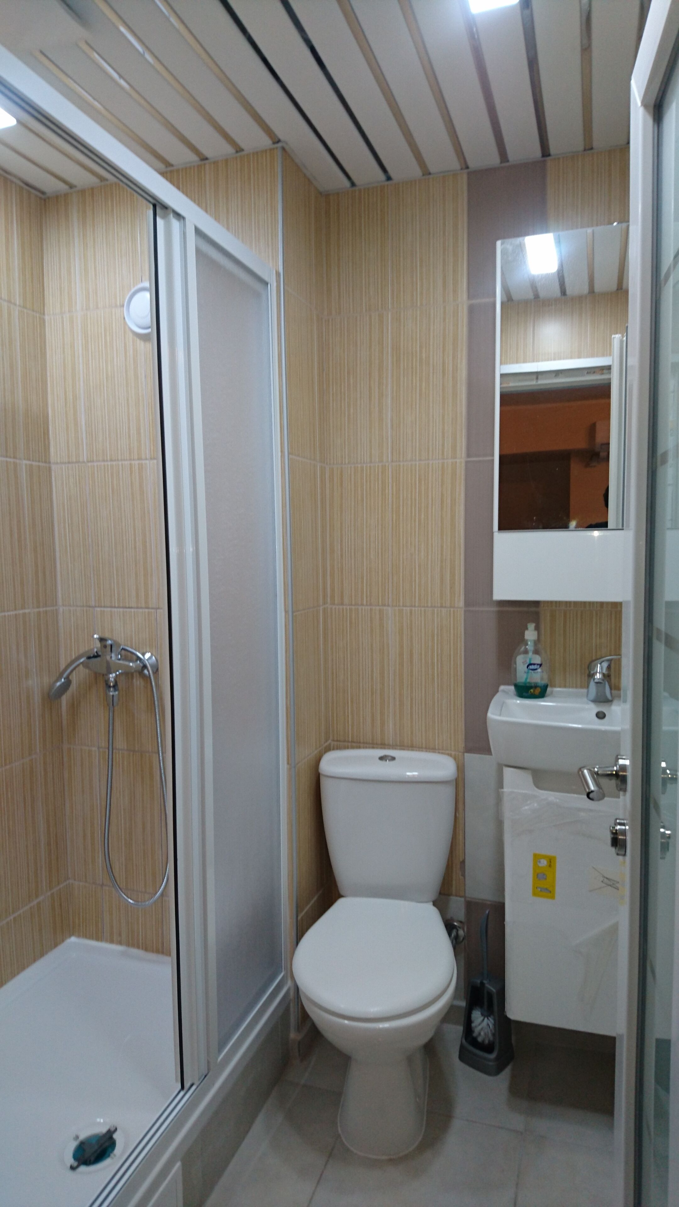 Et badeværelse med glasbrusekabine, toilet og vask med spejl over.
