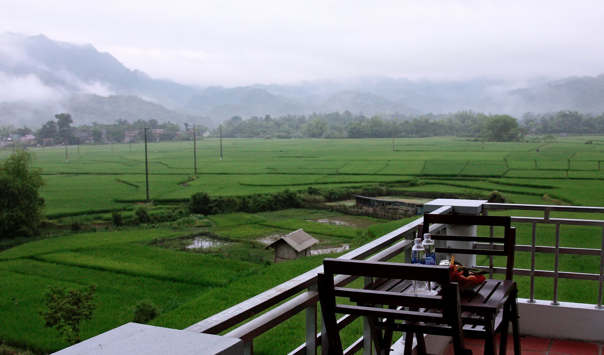 A view of terraced green fields from a balcony with a table and chairs, overlooking a misty mountainous landscape.
