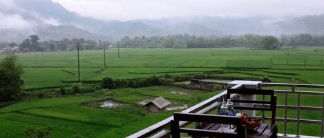 A view of terraced green fields from a balcony with a table and chairs, overlooking a misty mountainous landscape.