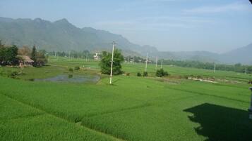 A rural landscape with green fields, a few scattered houses, and distant mountains.