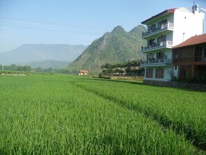 Escape to a serene rural retreat with breathtaking views of a lush green rice field and majestic mountains.
