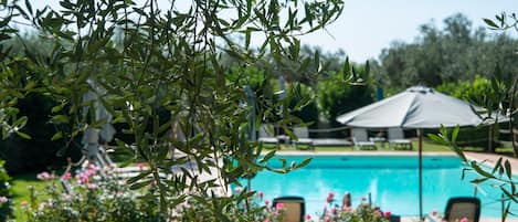 Una piscina al aire libre de temporada, sombrillas