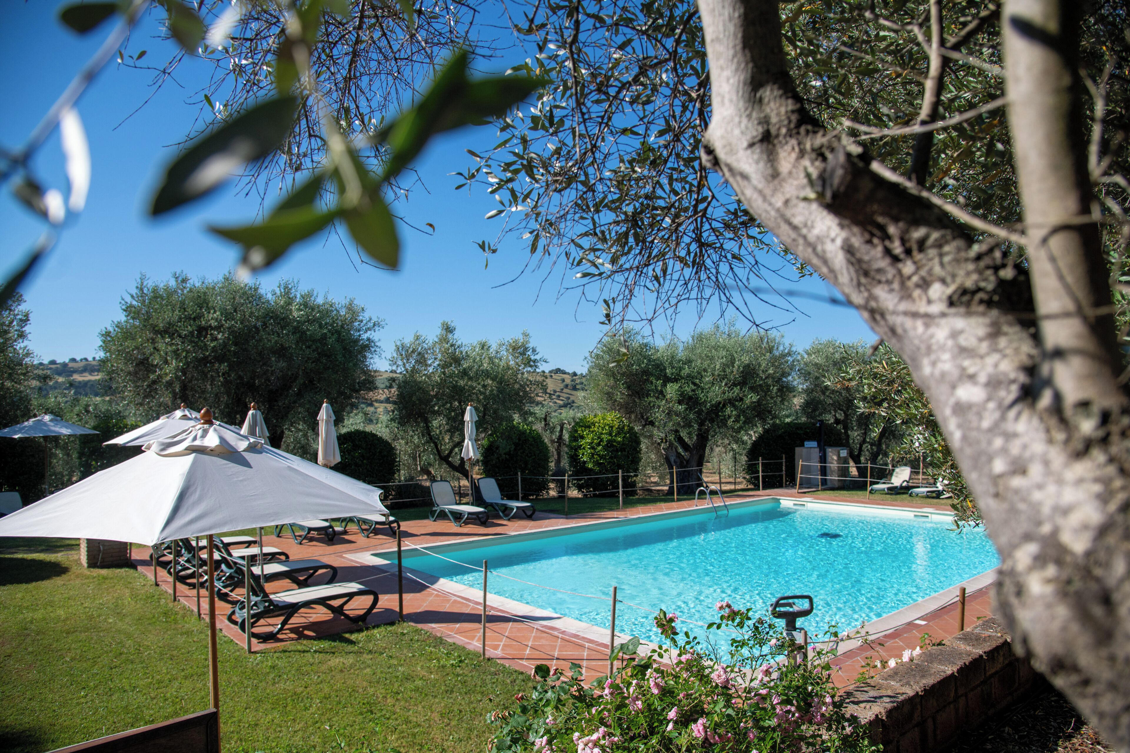 Ein Pool mit Liegestühlen und Sonnenschirmen, umgeben von Grünpflanzen und Bäumen.