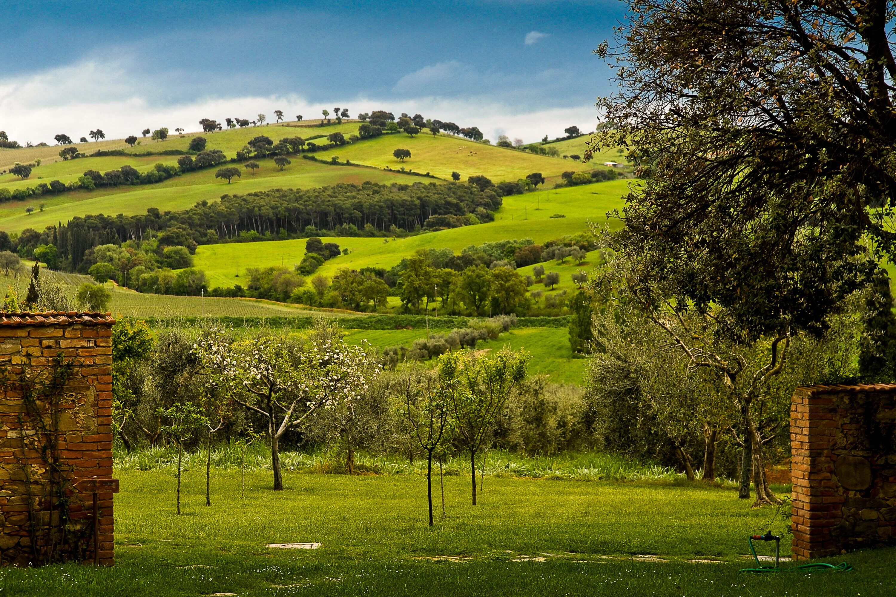 Un paysage rural caractérisé par des collines douces, des champs verdoyants et des arbres dispersés.