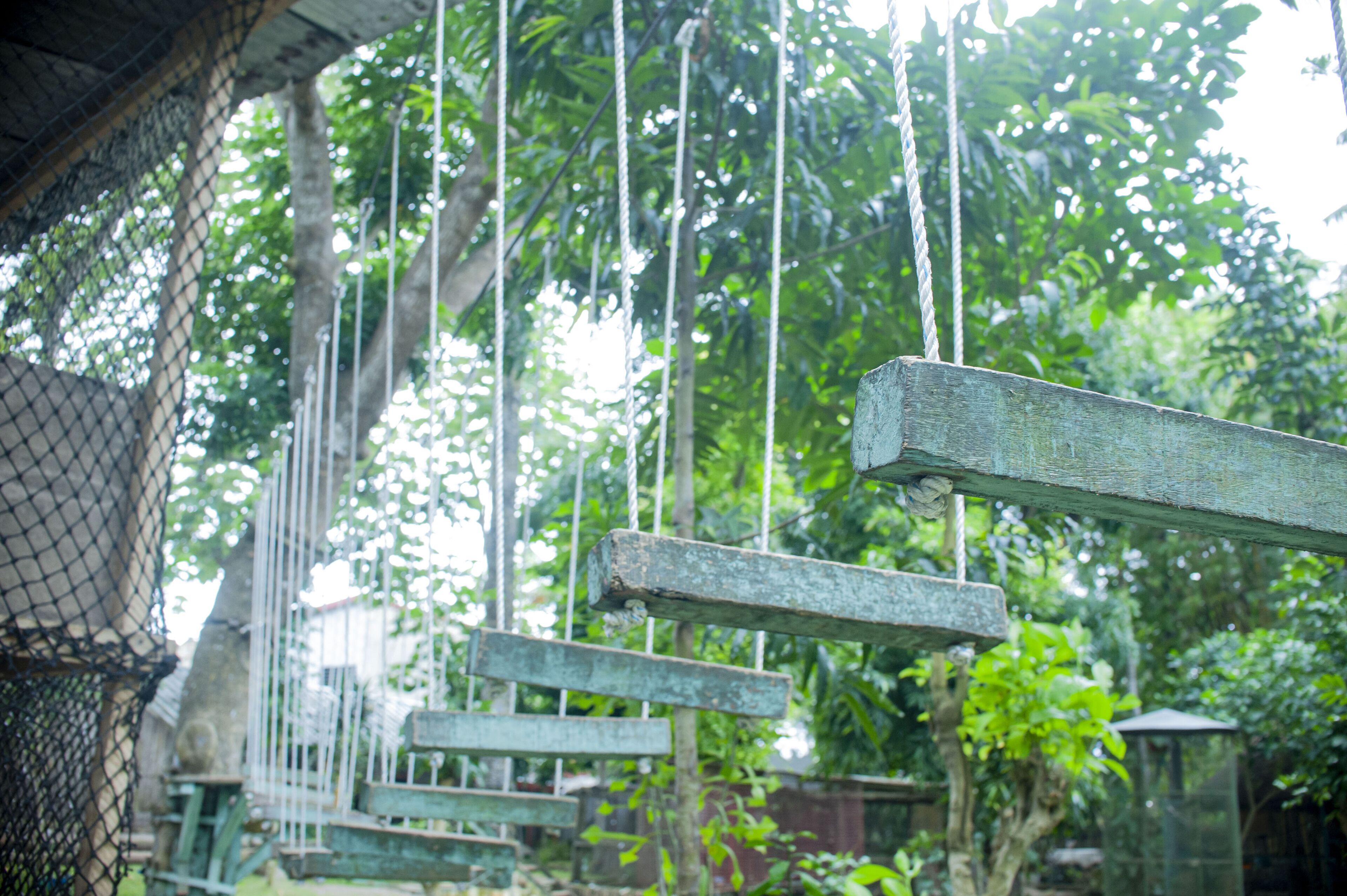 A wooden swing set in a lush, green outdoor area.