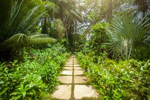 A stone pathway flanked by lush greenery and palm trees, leading through a tropical garden. - Kafolo Lagoon (Abidjan)