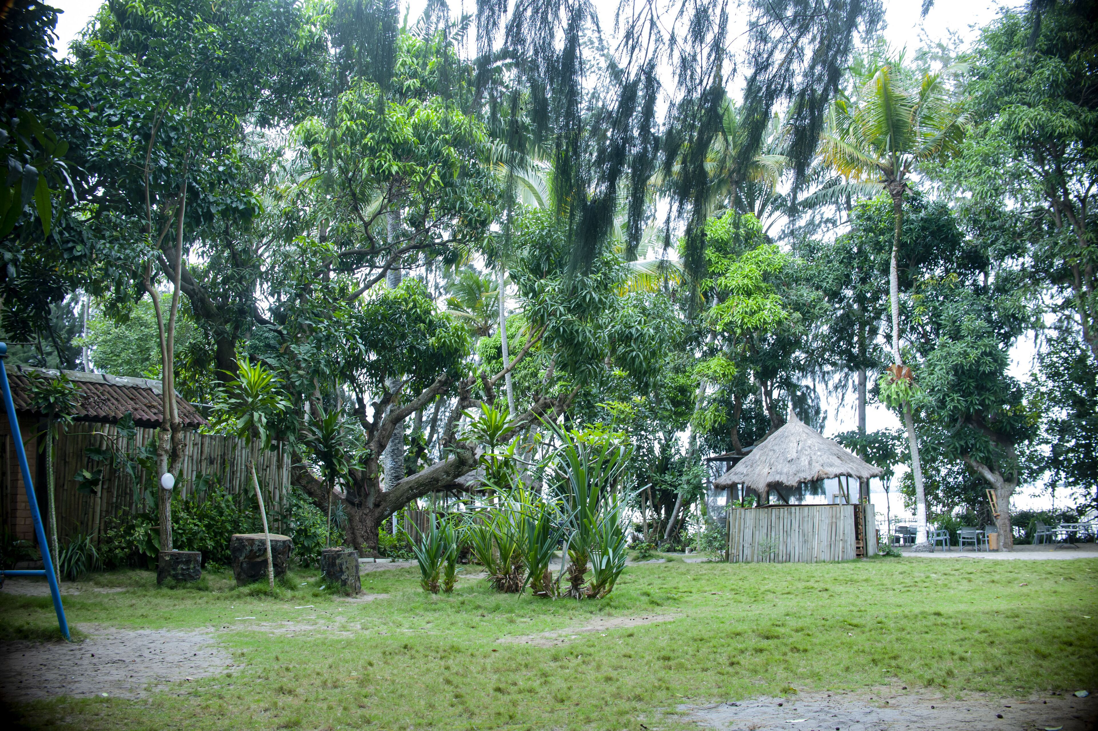 Un jardin luxuriant avec une cabane au toit de chaume, une clôture en bois et une grande variété d’arbres et de plantes.