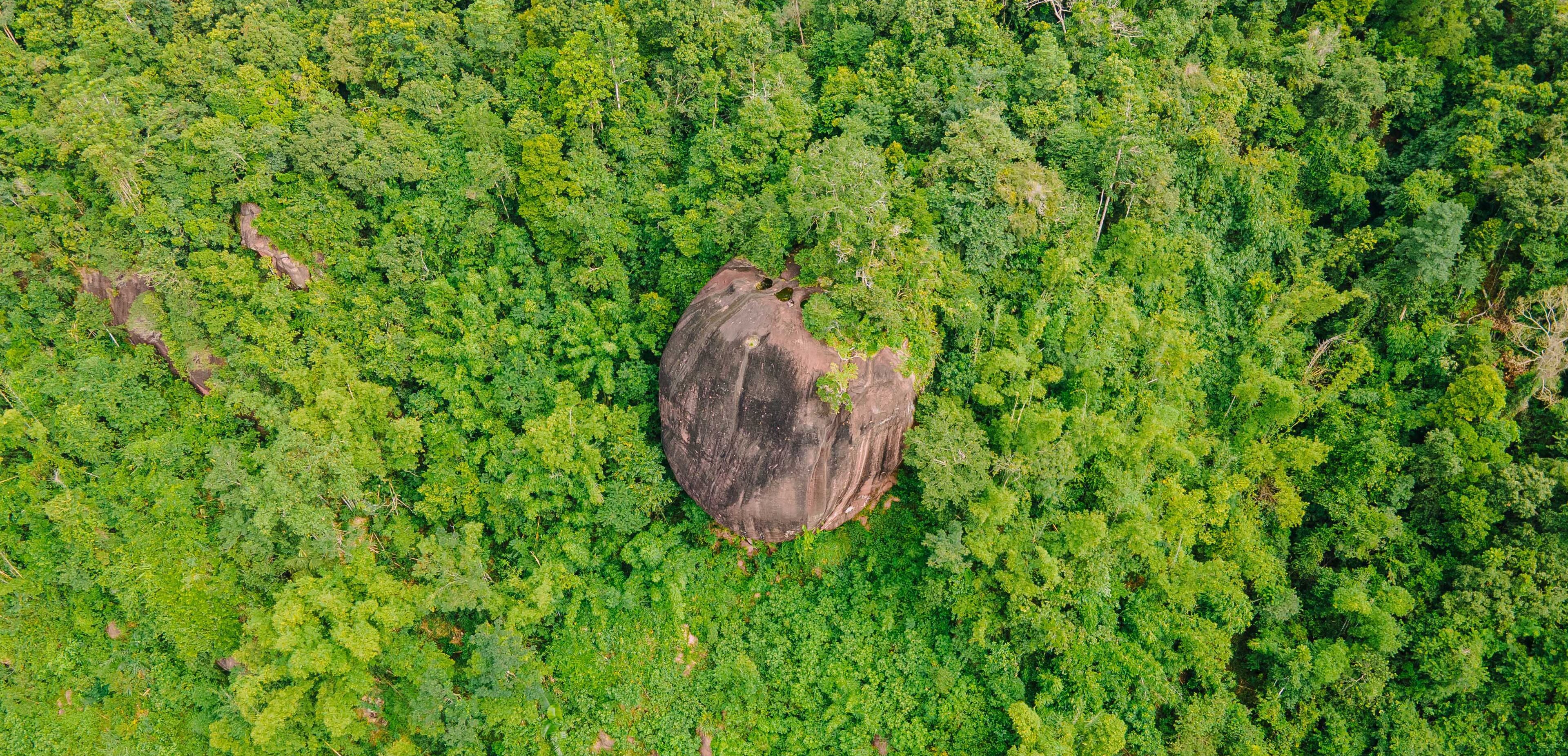 Vista aérea de un área boscosa con una gran formación rocosa.