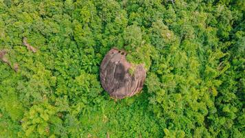 Vista aérea de un área boscosa con una gran formación rocosa.