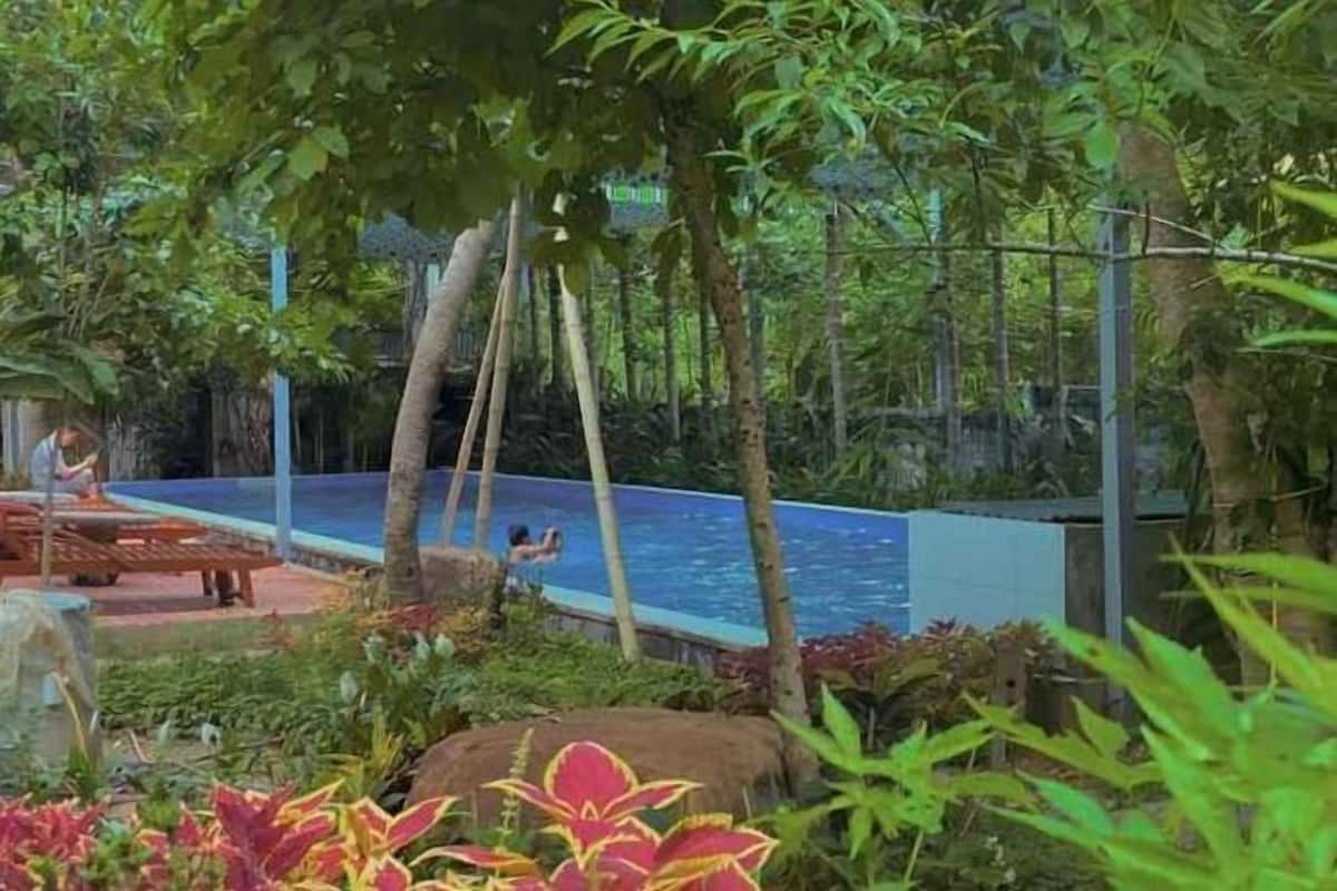 Un área de piscina con terraza de madera, rodeada de exuberante vegetación y palmeras.