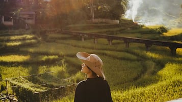 Näkymä majoituspaikasta