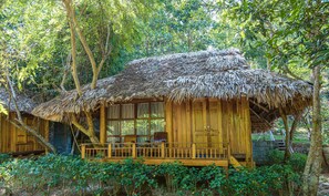 Escritorio y wifi gratis 