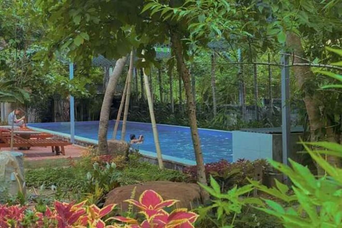 Un área de piscina con terraza de madera, rodeada de exuberante vegetación y palmeras.