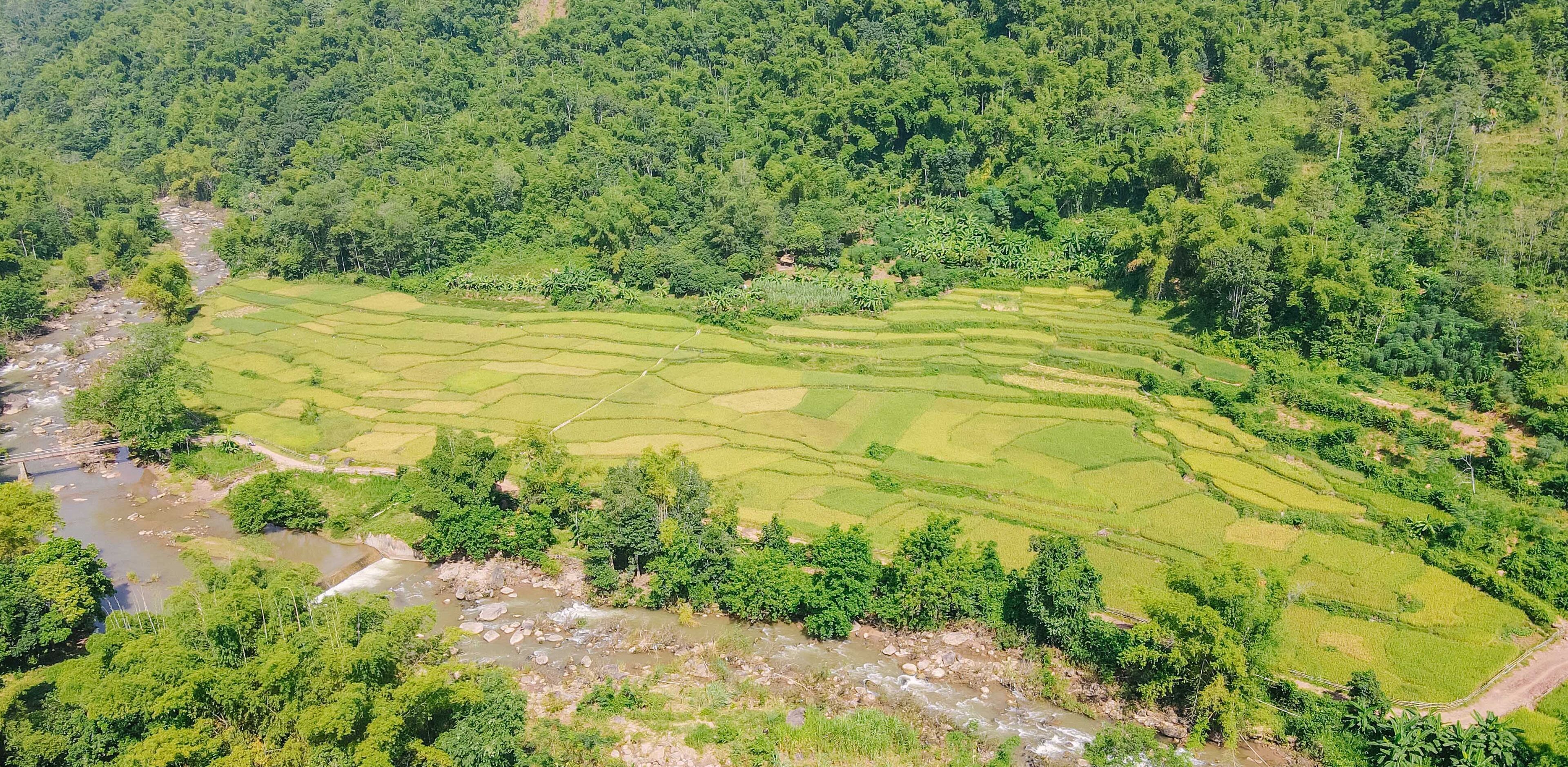 A terraced rice field with a river running through it.