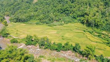 A terraced rice field with a river running through it.
