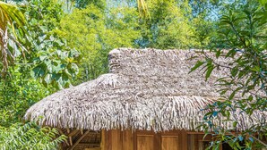Una casa de madera rústica con techo de paja, rodeada de abundante vegetación y un camino de piedra que lleva a la entrada.