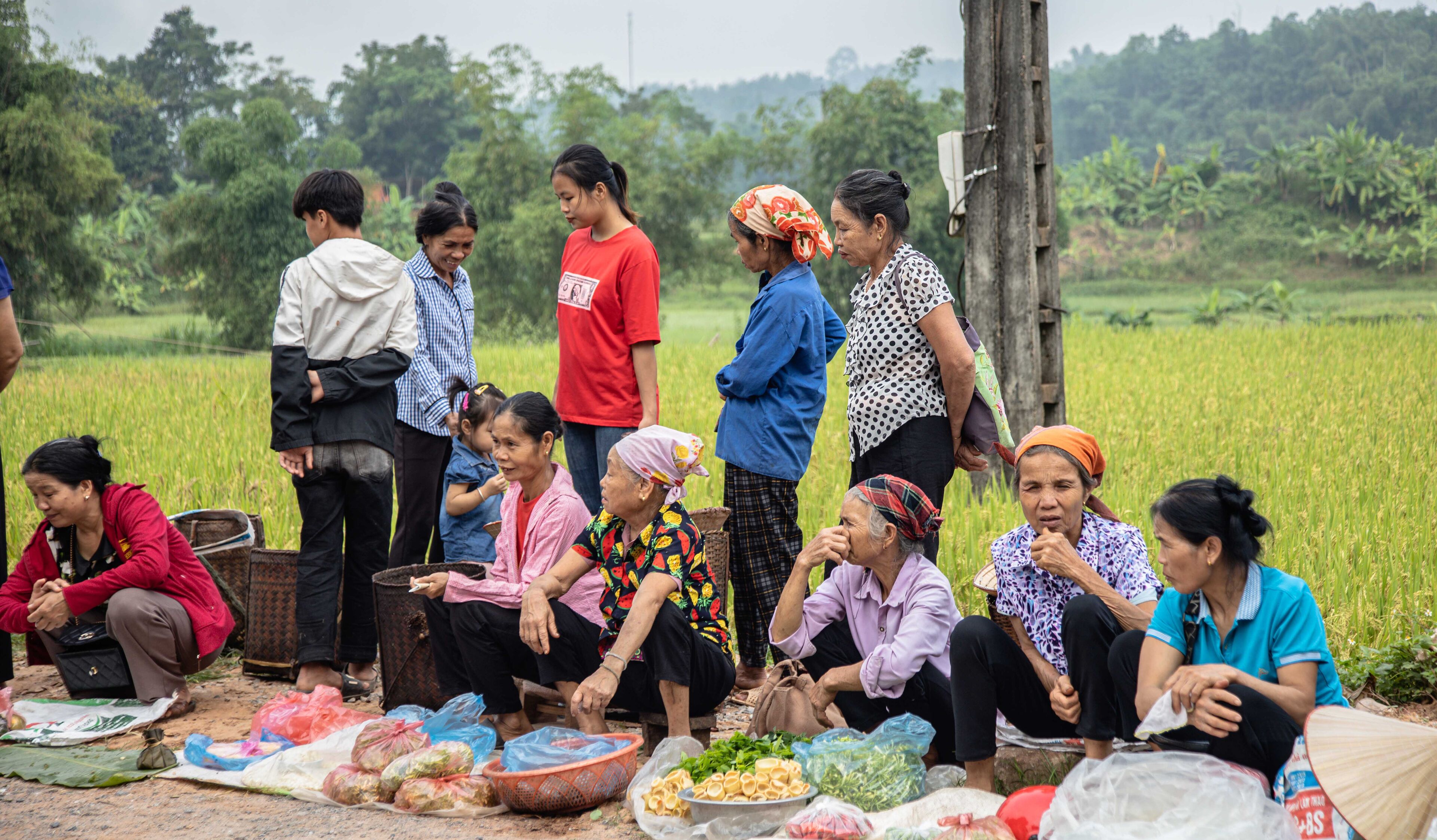 A group of people sitting and standing in a rural setting with a field in the background.