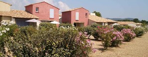 A row of pink buildings with tiled roofs, surrounded by flowering bushes and a gravel path. - Résidence Tamaris 2 (Lecci)