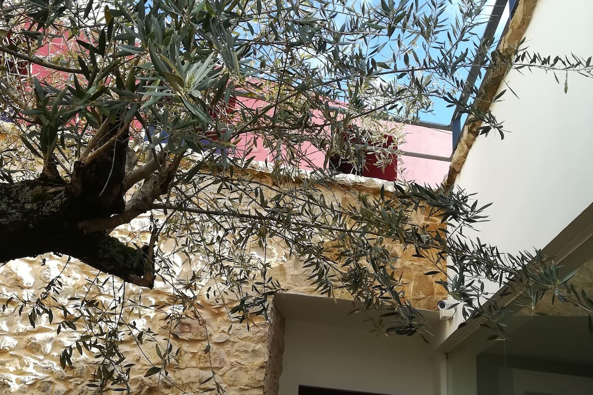 A stone wall with a tree branch extending over a doorway.