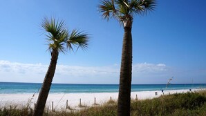 A beach with two palm trees and a clear blue sky.