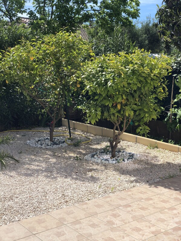 A garden area with trees, gravel, and a tiled patio. - SEASONAL RENTAL - LOWER VILLA (La Londe-Les-Maures)