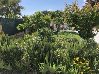 SEASONAL RENTAL - LOWER VILLA