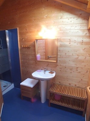 Combined shower/bathtub, hair dryer