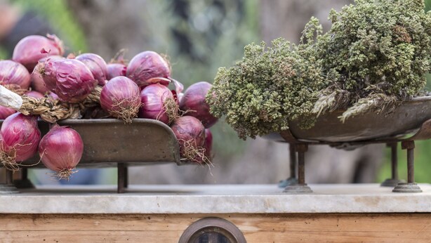 A scale with onions and a plant on it. - Hotel Calabrisella (Ricadi)