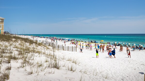 A beach with a volleyball game, clear skies, and a sandy shore.