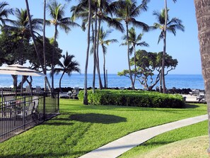 Parco della struttura