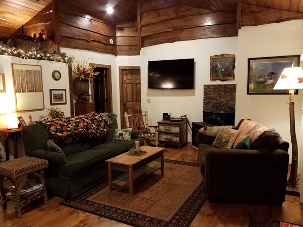 Televisie, een dvd-speler, boeken en een filmbibliotheek