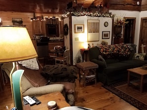 TV, DVD player, books, video library