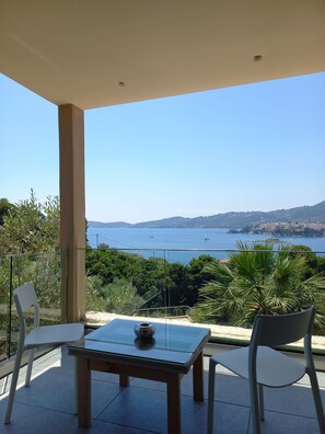 Double Room, 1 King Bed, Sea View | Terrace/patio