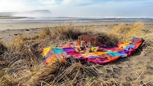 Un coin pique-nique aménagé sur la plage avec une couverture, un panier et de la nourriture.