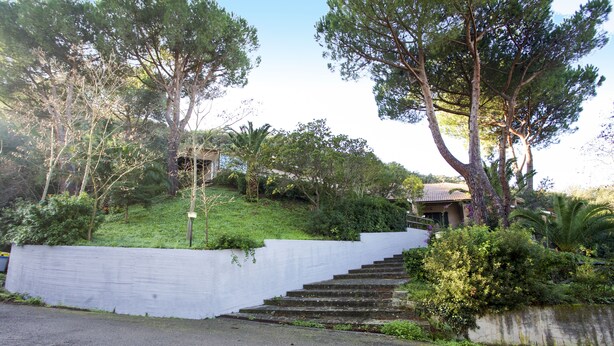 A set of outdoor stone steps leading up to a building with a dome roof, surrounded by lush greenery and trees. - Appartamenti Bagnaia (Portoferraio)