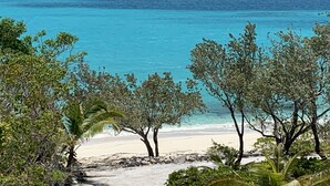 A beach with clear turquoise water, sandy shore, and trees in the foreground. - Paradise! Private Beachfront Home w/ Pool & Beach WiFi!  

 (George Town)