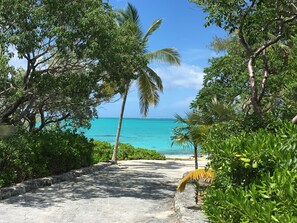 On the beach, sun loungers, beach towels - Paradise! Private Beachfront Home w/ Pool & Beach WiFi!  

 (George Town)