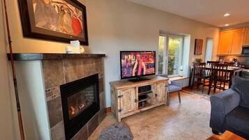 TV connectée, cheminée, lecteur de DVD, livres