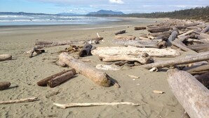 A beach with driftwood scattered across the sand and a view of the ocean and distant mountains. - CLEAN-MODERN-WIFI-HARBOUR & MTN VIEWS-SPACIOUS-SHORT WALK TO TOWN & BEACH TRAILS (ucluelet)