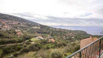 Vista da propriedade