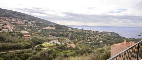 Vista dalla struttura