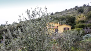 Ein gelbes Haus, umgeben von Olivenbäumen und Vegetation, an einem Hügel.