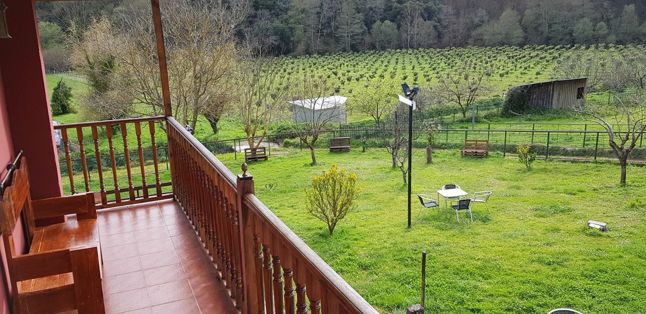 Phòng 3 | Quang cảnh từ phòng